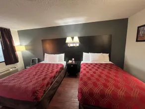 Econo Lodge Inn & Suites Tuscaloosa I-20 - Chambre