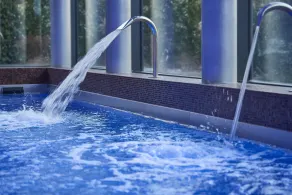 Mercure Bale Mulhouse Aeroport - Piscine