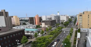 Hotel Pearl City Akita Kanto-Odori - Vue de la chambre