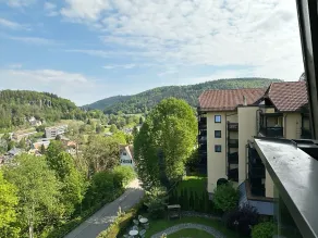 Parkhotel Luise Bad Herrenalb - Vue de la chambre