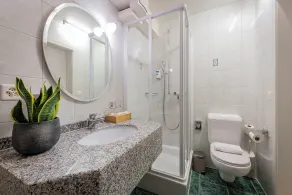 Hôtel du Cheval Blanc - City center - Bagno