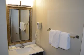 Baymont by Wyndham Downtown Detroit - Salle de bain
