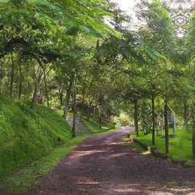 Glamping Furesa Experience - Hostel - Property grounds