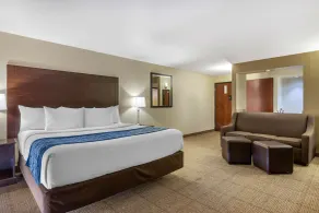 Comfort Inn Grand Rapids Airport - Chambre