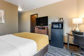 Comfort Inn & Suites Market - Airport - Chambre