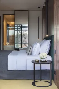 The Lynx Mountain Resort - Room