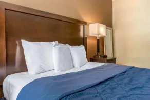 Rodeway Inn Chicago North Shore - Lincolnwood - Chambre