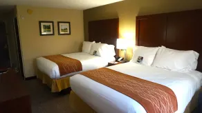 Comfort Inn & Suites Greenwood near University - Chambre