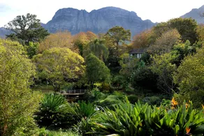 Vineyard Hotel - View from room
