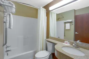 Microtel Inn & Suites by Wyndham Harrisonburg - Salle de bain