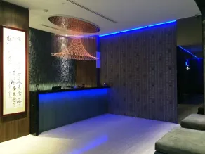 Bliss Hotel Singapore - Recepción