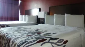 Lubbock Regency Inn - Værelse