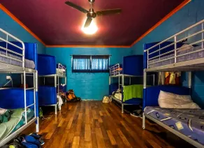 Cool Bananas Backpackers - Room