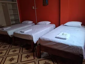Plaza Jungle Hostel - Room