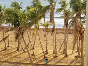 Oceansound Suites - Habitación