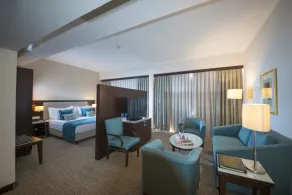 Radisson Blu Ankara - Room