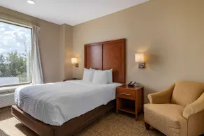 Comfort Suites Houston near Medical Center- NRG Stadium - Room