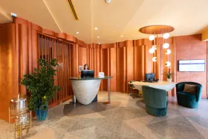 Mercure Istanbul Bakirkoy - Recepción