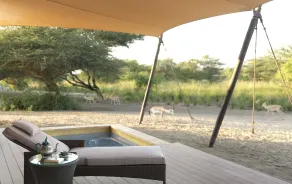 Anantara Sir Bani Yas Island Al Sahel Villas - View from room
