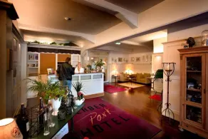 Gerber Park Hotel - Réception