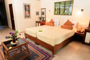 Ayurveda Spring Of Life Resort - Chambre