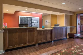 Hampton Inn Columbia Northeast - Fort Jackson Area - Reception