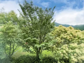 Route Inn Grantia Fukuoka Miyawaka - Wakita Onsen - Vue de la chambre