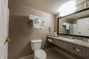 Wingate by Wyndham Chicago Schaumburg - Baño