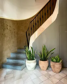 Hostal Porxos Garden - Reception