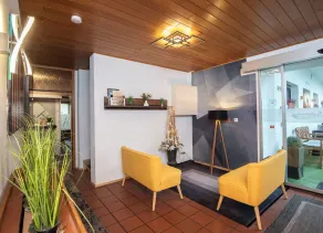 Neckarperle Mannheim-Heidelberg - Reception