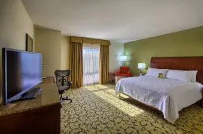 Hilton Garden Inn Durham/University Medical Center - Chambre