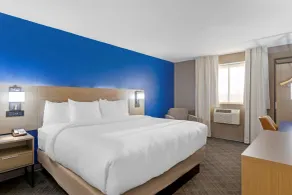Comfort Inn Detroit - Troy - Chambre