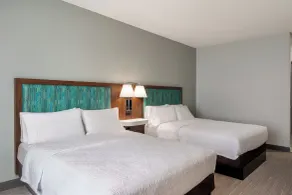 Hampton Inn Lake Charles - Chambre
