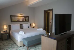 Radisson Blu Hotel, Ordu - Habitación