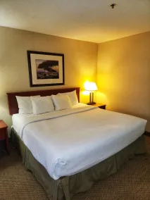 La Quinta Inn & Suites by Wyndham Appleton College Avenue - Chambre