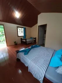 Garden of Heliconias Lodge - View from room