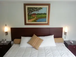 Hotel Plaza Mayor Cali - Room