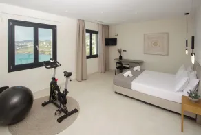 Pnoe Villas Syros - Rom