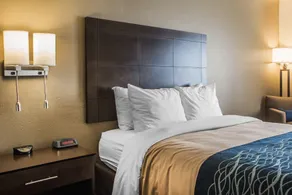 Comfort Inn & Suites Waterloo - Cedar Falls - Chambre
