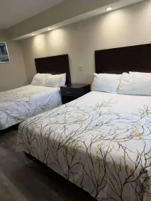 Belleville Motor Lodge - Chambre
