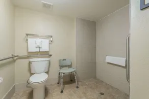 Comfort Inn & Suites Lexington - Hamburg I-75 - Salle de bain