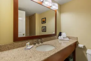Comfort Inn & Suites SW Houston Sugarland - Salle de bain