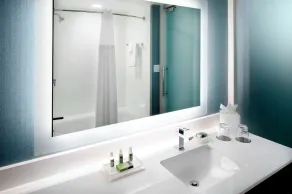 Cambria Hotel Phoenix Chandler - Fashion Center - Badrum
