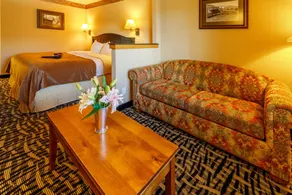 49'er Inn & Suites - Chambre