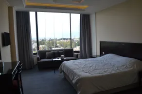 Platinum Hotel - View from room