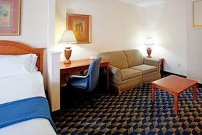 Holiday Inn Express & Suites Orangeburg by IHG - Chambre