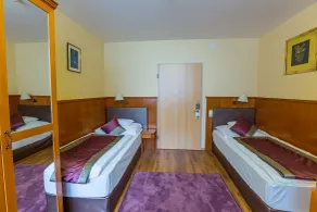 Pannonia Hotel - Room