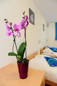 Boutique Hotel Loka - Værelse