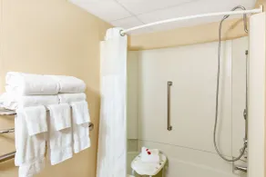 Ramada by Wyndham Midtown Grand Island - Salle de bain