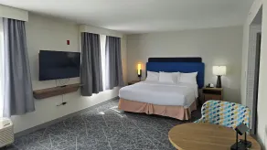 Hampton Inn & Suites Chicago Deer Park - Chambre
